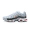 KicksOnFire Nike Air Max Plus Tn Crater Grey Shoes DA1500-100