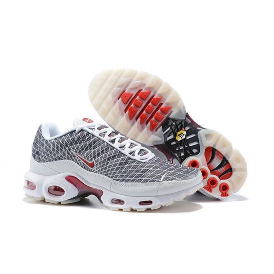 KicksOnFire Nike Air Max Plus Tn Grey and White Shoes