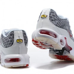 KicksOnFire Nike Air Max Plus Tn Grey and White Shoes