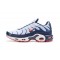 KicksOnFire Nike Air Max Plus Tn QS White Blue and Red Shoes