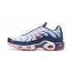 KicksOnFire Nike Air Max Plus Tn QS White Blue and Red Shoes